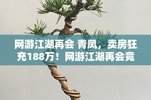 网游江湖再会 青凤,卖房狂充188万!网游江湖再会竟成离婚导火索,吓一跳的代价! 网游江湖再会 青凤,卖房狂充188万!网游江湖再会竟成离婚导火索,吓一跳的代价!