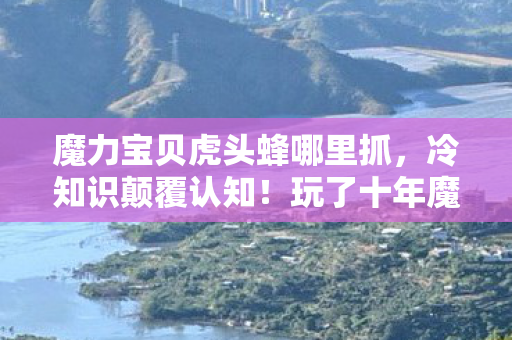 魔力宝贝虎头蜂哪里抓,冷知识颠覆认知!玩了十年魔力宝贝,虎头蜂秘密让我目瞪口呆 魔力宝贝虎头蜂哪里抓,冷知识颠覆认知!玩了十年魔力宝贝,虎头蜂秘密让我目瞪口呆