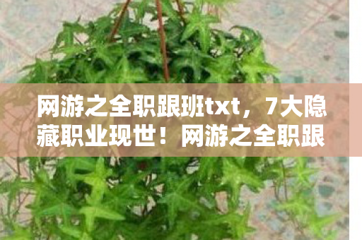 网游之全职跟班txt，7大隐藏职业现世！网游之全职跟班背后竟藏着惊天秘密？