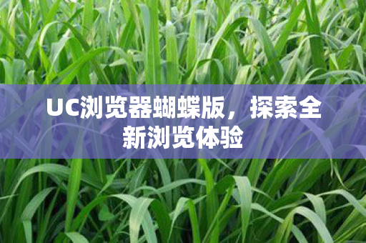 UC浏览器蝴蝶版图片
