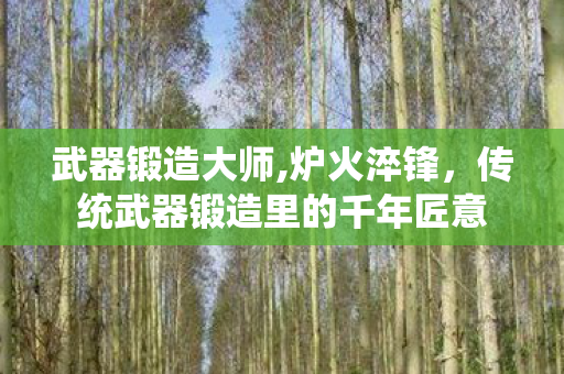 武器锻造大师,炉火淬锋,传统武器锻造里的千年匠意 武器锻造大师,炉火淬锋,传统武器锻造里的千年匠意