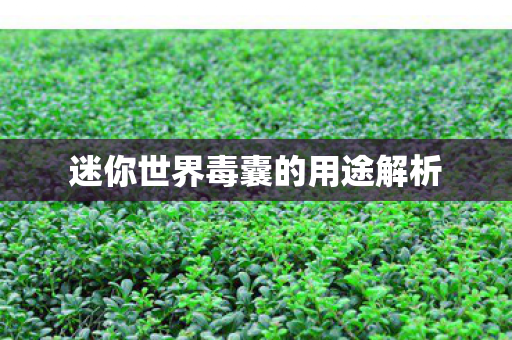 迷你世界毒囊的用途解析图片