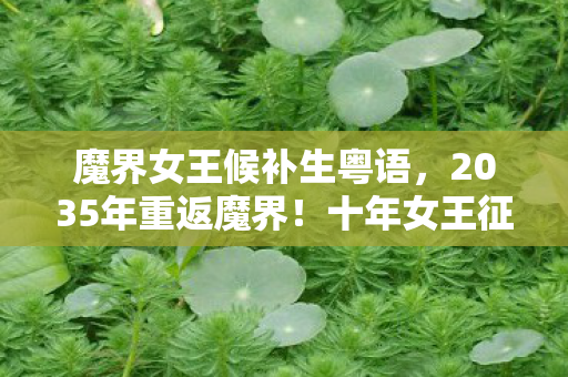魔界女王候补生粤语,2035年重返魔界!十年女王征途,揭秘颠覆认知的终极真相 魔界女王候补生粤语,2035年重返魔界!十年女王征途,揭秘颠覆认知的终极真相