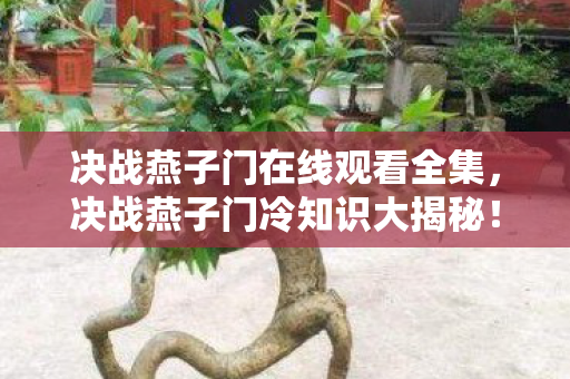 决战燕子门在线观看全集,决战燕子门冷知识大揭秘!颠覆认知的设计让你目瞪口呆 决战燕子门在线观看全集,决战燕子门冷知识大揭秘!颠覆认知的设计让你目瞪口呆
