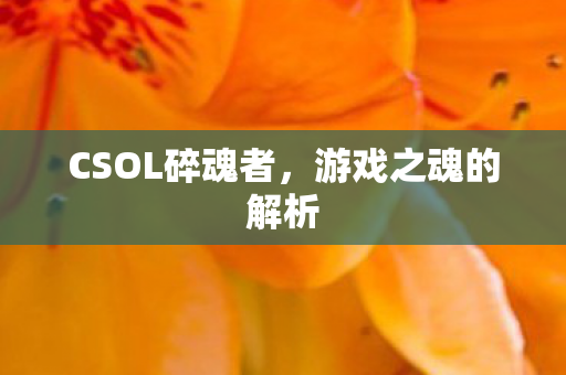 CSOL碎魂者图片