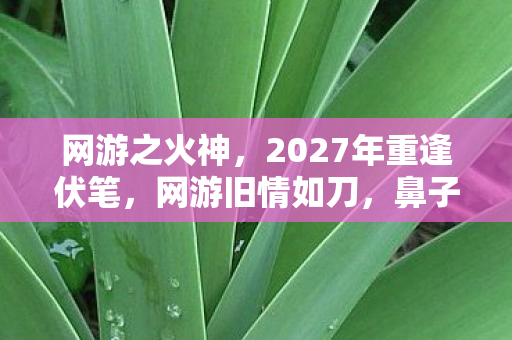 网游之火神，2027年重逢伏笔，网游旧情如刀，鼻子一酸忆往昔