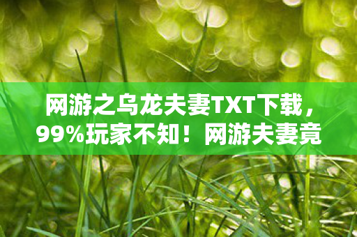 网游之乌龙夫妻TXT下载,99%玩家不知!网游夫妻竟因这隐藏机制反目成仇?结局炸裂! 网游之乌龙夫妻TXT下载,99%玩家不知!网游夫妻竟因这隐藏机制反目成仇?结局炸裂!