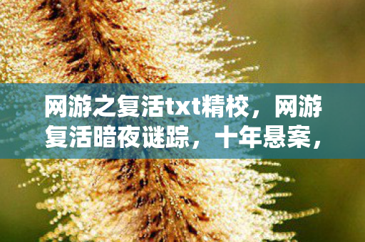网游之复活txt精校,网游复活暗夜谜踪,十年悬案,毛骨悚然线索缠绕我心 网游之复活txt精校,网游复活暗夜谜踪,十年悬案,毛骨悚然线索缠绕我心