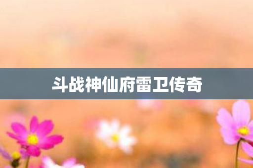 斗战神仙府雷卫传奇图片
