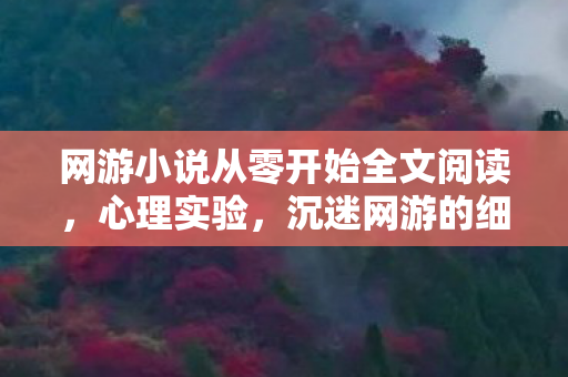 网游小说从零开始全文阅读,心理实验,沉迷网游的细思极恐——六年自我麻醉实录 网游小说从零开始全文阅读,心理实验,沉迷网游的细思极恐——六年自我麻醉实录