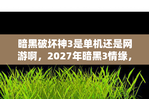 暗黑破坏神3是单机还是网游啊，2027年暗黑3情缘，伏笔里的等你，让我鼻子一酸