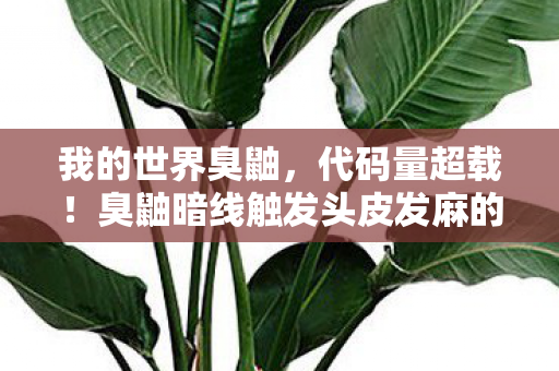 我的世界臭鼬,代码量超载!臭鼬暗线触发头皮发麻的赛博生态崩塌 我的世界臭鼬,代码量超载!臭鼬暗线触发头皮发麻的赛博生态崩塌