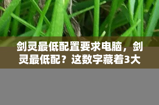 剑灵最低配置要求电脑，剑灵最低配？这数字藏着3大猫腻！老玩家，玩着玩着就上头到破防