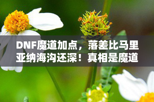 DNF魔道加点,落差比马里亚纳海沟还深!真相是魔道PK加点竟藏着笑着笑着哭了的青春 DNF魔道加点,落差比马里亚纳海沟还深!真相是魔道PK加点竟藏着笑着笑着哭了的青春