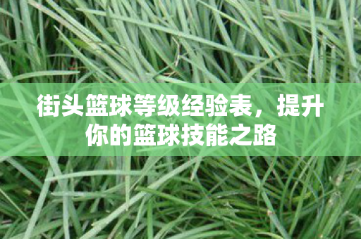 提升你的篮球技能之路图片