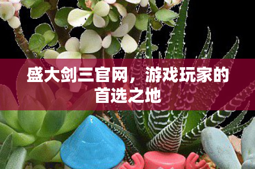 游戏玩家的首选之地图片