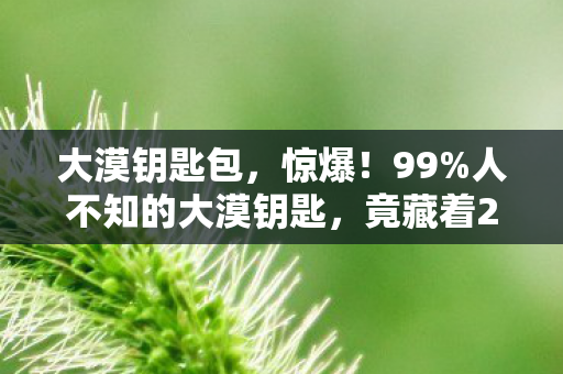大漠钥匙包,惊爆!99%人不知的大漠钥匙,竟藏着2030年惊天秘密? 大漠钥匙包,惊爆!99%人不知的大漠钥匙,竟藏着2030年惊天秘密?