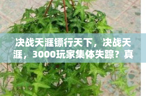 决战天涯镖行天下,决战天涯,3000玩家集体失踪?真相揭晓时全服破防! 决战天涯镖行天下,决战天涯,3000玩家集体失踪?真相揭晓时全服破防!