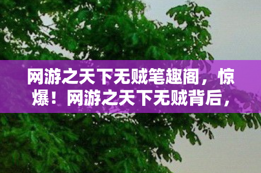 网游之天下无贼笔趣阁，惊爆！网游之天下无贼背后，3000万预算藏隐情，真相让人吓一跳！