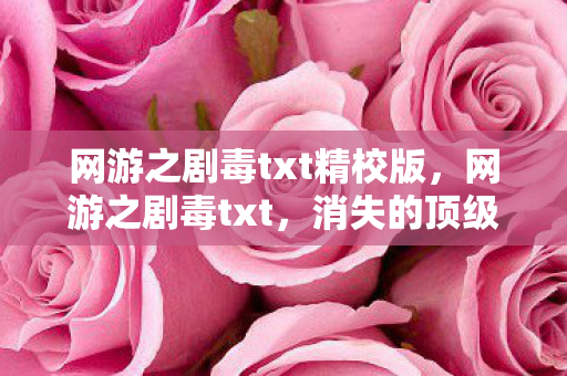 网游之剧毒txt精校版，网游之剧毒txt，消失的顶级账号与服务器里永不熄灭的绿光