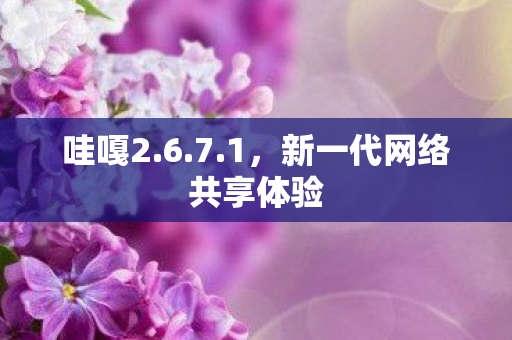 新一代网络共享体验图片
