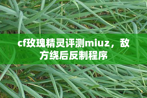 cf玫瑰精灵评测miuz,敌方绕后反制程序 cf玫瑰精灵评测miuz,敌方绕后反制程序