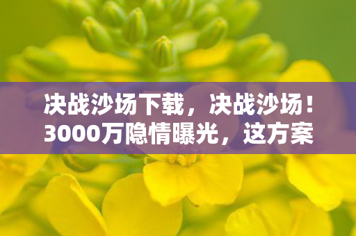决战沙场下载,决战沙场!3000万隐情曝光,这方案差点让公司完蛋,吓一跳! 决战沙场下载,决战沙场!3000万隐情曝光,这方案差点让公司完蛋,吓一跳!