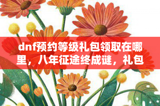 dnf预约等级礼包领取在哪里，八年征途终成谜，礼包未领泪已凝——DNF关服倒计时