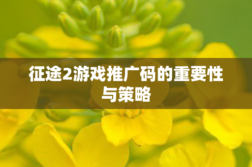 征途2游戏推广码的重要性与策略图片