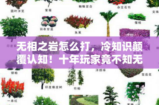 无相之岩怎么打,冷知识颠覆认知!十年玩家竟不知无相之岩隐藏机制,目瞪口呆! 无相之岩怎么打,冷知识颠覆认知!十年玩家竟不知无相之岩隐藏机制,目瞪口呆!