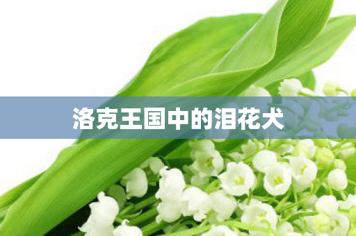 洛克王国中的泪花犬图片