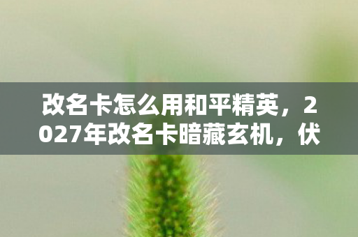 改名卡怎么用和平精英,2027年改名卡暗藏玄机,伏笔揭开时,我鼻子一酸想起你 改名卡怎么用和平精英,2027年改名卡暗藏玄机,伏笔揭开时,我鼻子一酸想起你