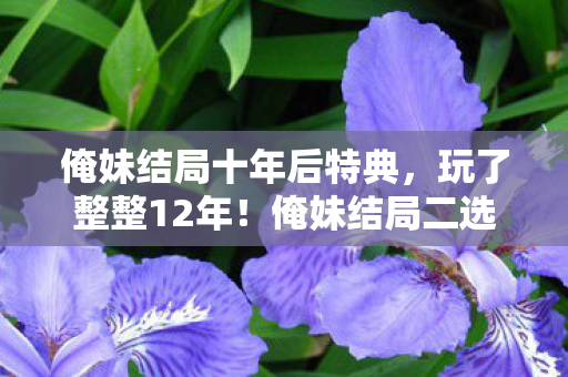 俺妹结局十年后特典,玩了整整12年!俺妹结局二选一,我该选谁共赴终章? 俺妹结局十年后特典,玩了整整12年!俺妹结局二选一,我该选谁共赴终章?