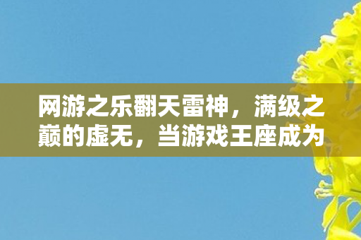 网游之乐翻天雷神,满级之巅的虚无,当游戏王座成为现实废墟的墓志铭 网游之乐翻天雷神,满级之巅的虚无,当游戏王座成为现实废墟的墓志铭