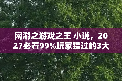 网游之游戏之王 小说,2027必看99%玩家错过的3大革新!网游之王实测心得颠覆认知 网游之游戏之王 小说,2027必看99%玩家错过的3大革新!网游之王实测心得颠覆认知