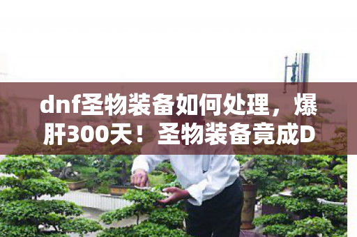 dnf圣物装备如何处理，爆肝300天！圣物装备竟成DNF玩家最后执念？这数字背后藏着多少深夜泪目