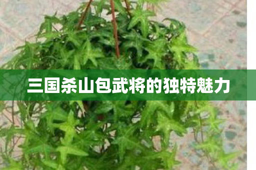 三国杀山包武将的独特魅力图片