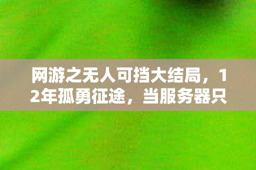 网游之无人可挡大结局，12年孤勇征途，当服务器只剩1人，他为何仍在无人区按下冲锋键？