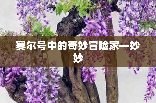赛尔号中的奇妙冒险家图片
