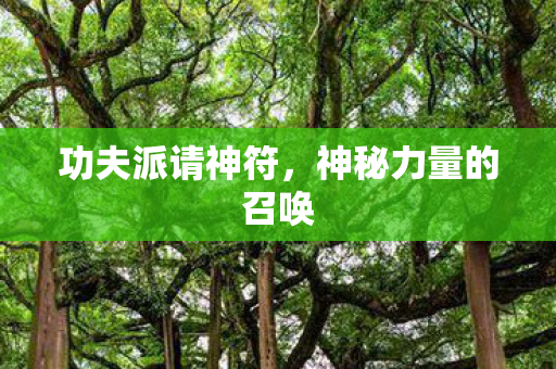 神秘力量的召唤图片