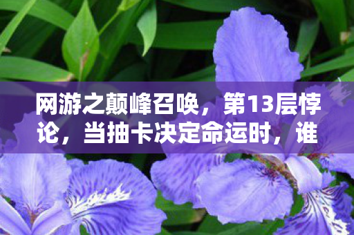 网游之颠峰召唤，第13层悖论，当抽卡决定命运时，谁在审判我的灵魂震颤？