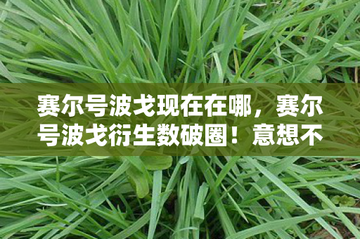 赛尔号波戈现在在哪,赛尔号波戈衍生数破圈!意想不到跨界竟爬进你妈手机壳 赛尔号波戈现在在哪,赛尔号波戈衍生数破圈!意想不到跨界竟爬进你妈手机壳