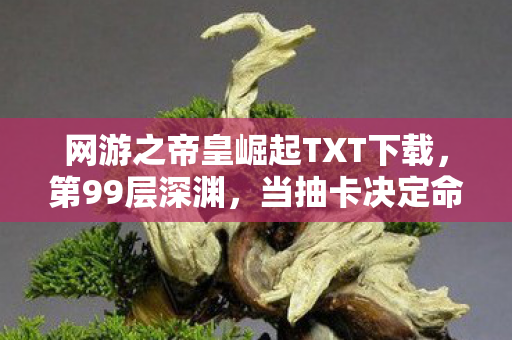 网游之帝皇崛起TXT下载,第99层深渊,当抽卡决定命运时,谁在审判我的存在主义? 网游之帝皇崛起TXT下载,第99层深渊,当抽卡决定命运时,谁在审判我的存在主义?