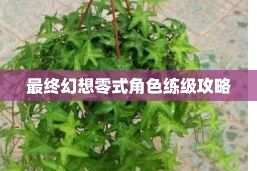最终幻想零式角色练级攻略图片