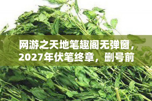 网游之天地笔趣阁无弹窗，2027年伏笔终章，删号前夜，那些别走让我鼻子一酸