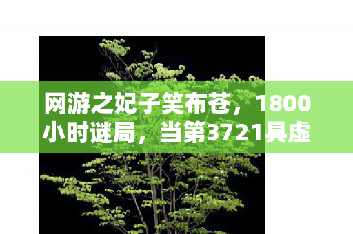 网游之妃子笑布苍，1800小时谜局，当第3721具虚拟尸体浮现时，全服玩家集体泪目