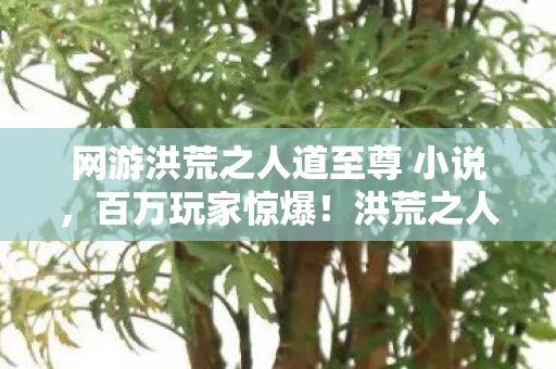 网游洪荒之人道至尊 小说，百万玩家惊爆！洪荒之人道至尊暗藏的3大未解之谜，泪目真相！