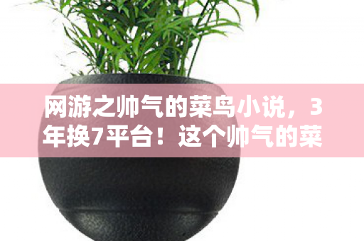 网游之帅气的菜鸟小说,3年换7平台!这个帅气的菜鸟为何总在新手村流泪? 网游之帅气的菜鸟小说,3年换7平台!这个帅气的菜鸟为何总在新手村流泪?