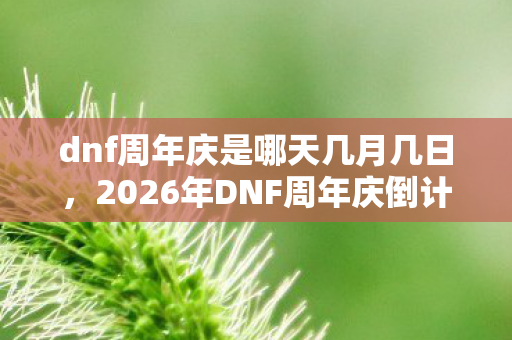 dnf周年庆是哪天几月几日，2026年DNF周年庆倒计时！老玩家心得+避坑指南大公开