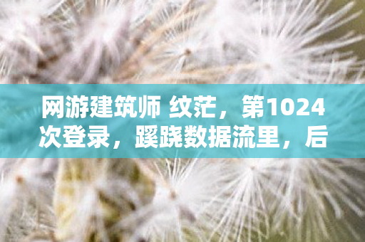 网游建筑师 纹茫,第1024次登录,蹊跷数据流里,后背发凉的十年逃亡真相 网游建筑师 纹茫,第1024次登录,蹊跷数据流里,后背发凉的十年逃亡真相